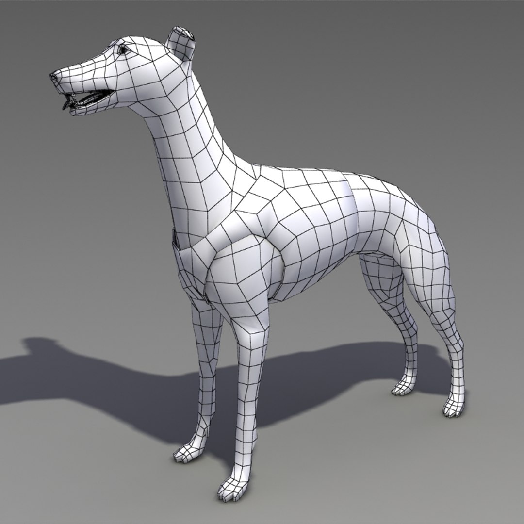 greyhound dogs 3d model https://p.turbosquid.com/ts-thumb/o5/d0N4Xl/3NSvXWuR/greyhound_w_01/jpg/1256909940/1920x1080/fit_q87/4d36c52948d1b49bef38b3aad339c6744739d2d2/greyhound_w_01.jpg
