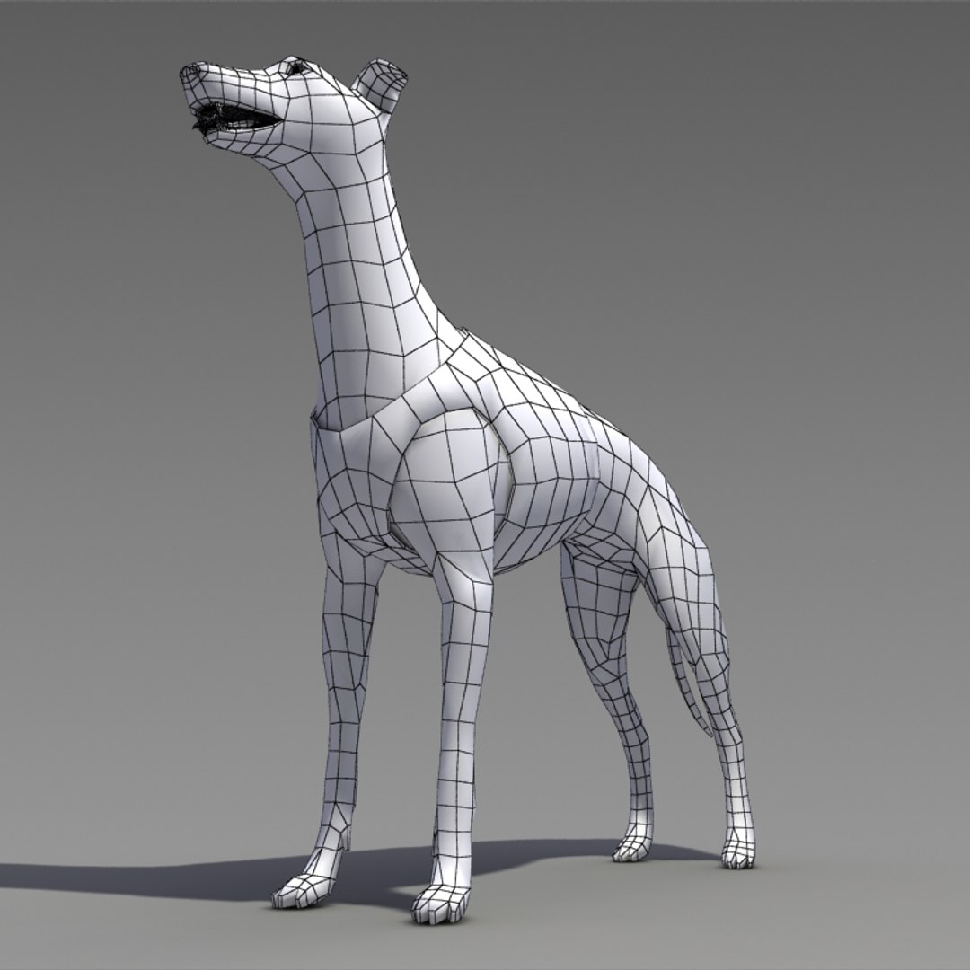 greyhound dogs 3d model https://p.turbosquid.com/ts-thumb/o5/d0N4Xl/fA2xP5BV/greyhound_w_04/jpg/1256910397/1920x1080/fit_q87/692aa19c88c6b6d33d3237872faf17d478033004/greyhound_w_04.jpg
