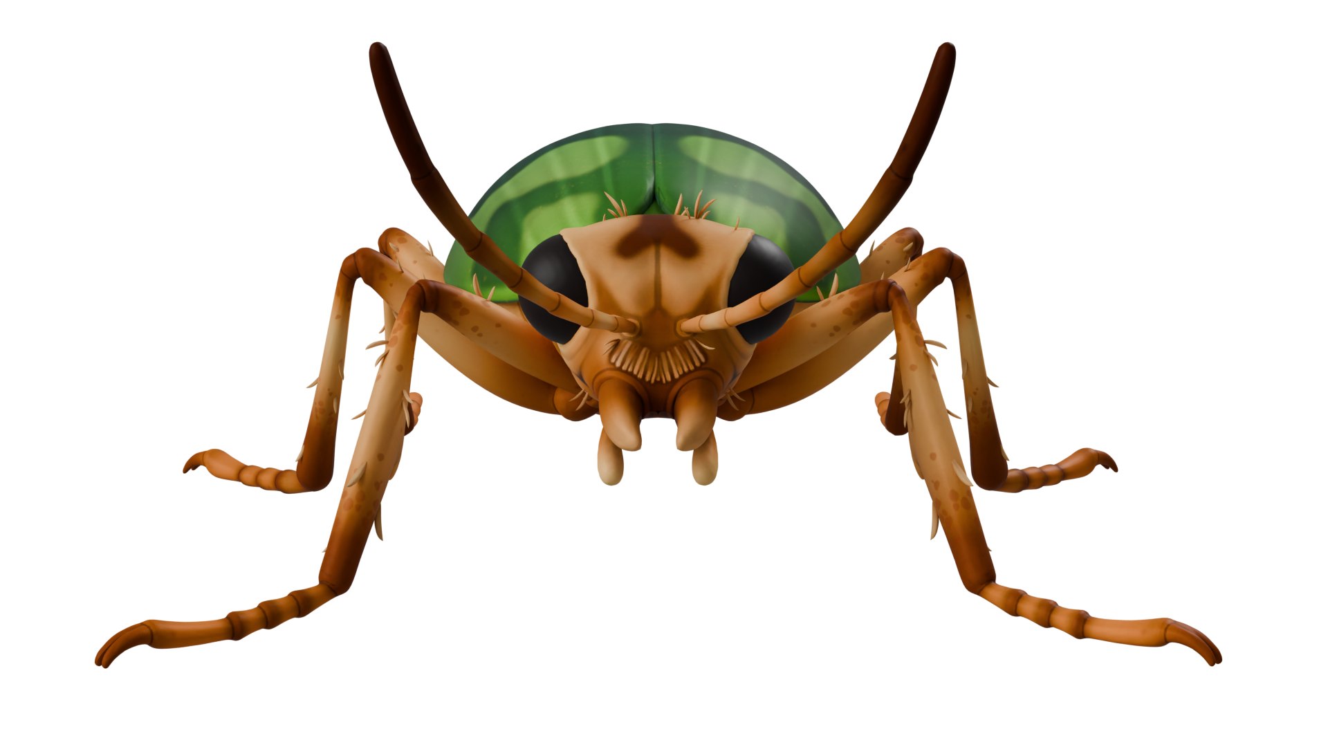 3D Bombardier Beetle Model - TurboSquid 2190283