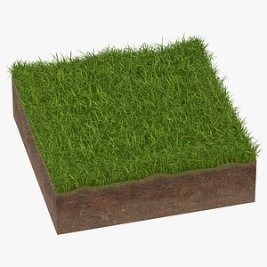 grass cross section 02 model