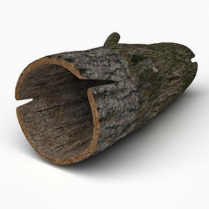 log 3d model