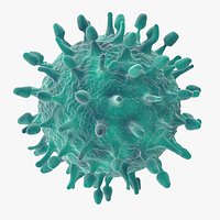H1N1 Virus