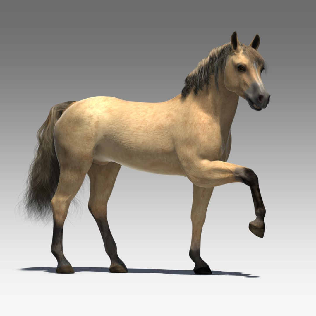 cinema4d ged horse animation poses https://p.turbosquid.com/ts-thumb/o5/xYWGa0/2WxBkvqj/tthorsebeige/jpg/1331106259/1920x1080/turn_fit_q99/b355e858f783c0b0121b62c021e02622a20856c5/tthorsebeige-1.jpg