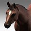 Cavallo attrezzato e animato