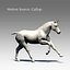 Cavallo attrezzato e animato