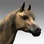 Cavallo attrezzato e animato