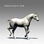 Cavallo attrezzato e animato