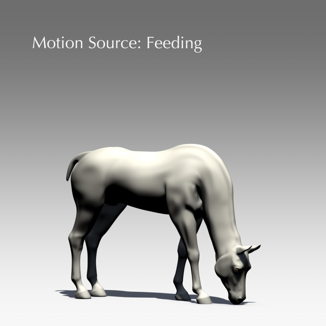 cinema4d ged horse animation poses https://p.turbosquid.com/ts-thumb/o5/xYWGa0/STRFwQcJ/posefeeding/jpg/1330945878/1920x1080/fit_q87/14259bcf2e58b9335645acb13c40dddb7bc237b6/posefeeding.jpg