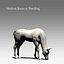 Cavallo attrezzato e animato