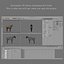 Cavallo attrezzato e animato