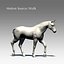 Cavallo attrezzato e animato