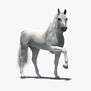Rigged and Animated Horse