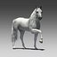 Cavallo attrezzato e animato