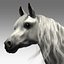 Cavallo attrezzato e animato