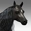 Cavallo attrezzato e animato