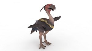 Terror bird 3D