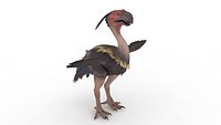 Terror bird