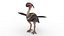 Terror bird 3D