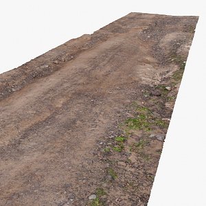 Dirt Road 3D Scan 001