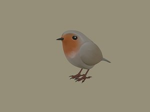 European Robin Bird