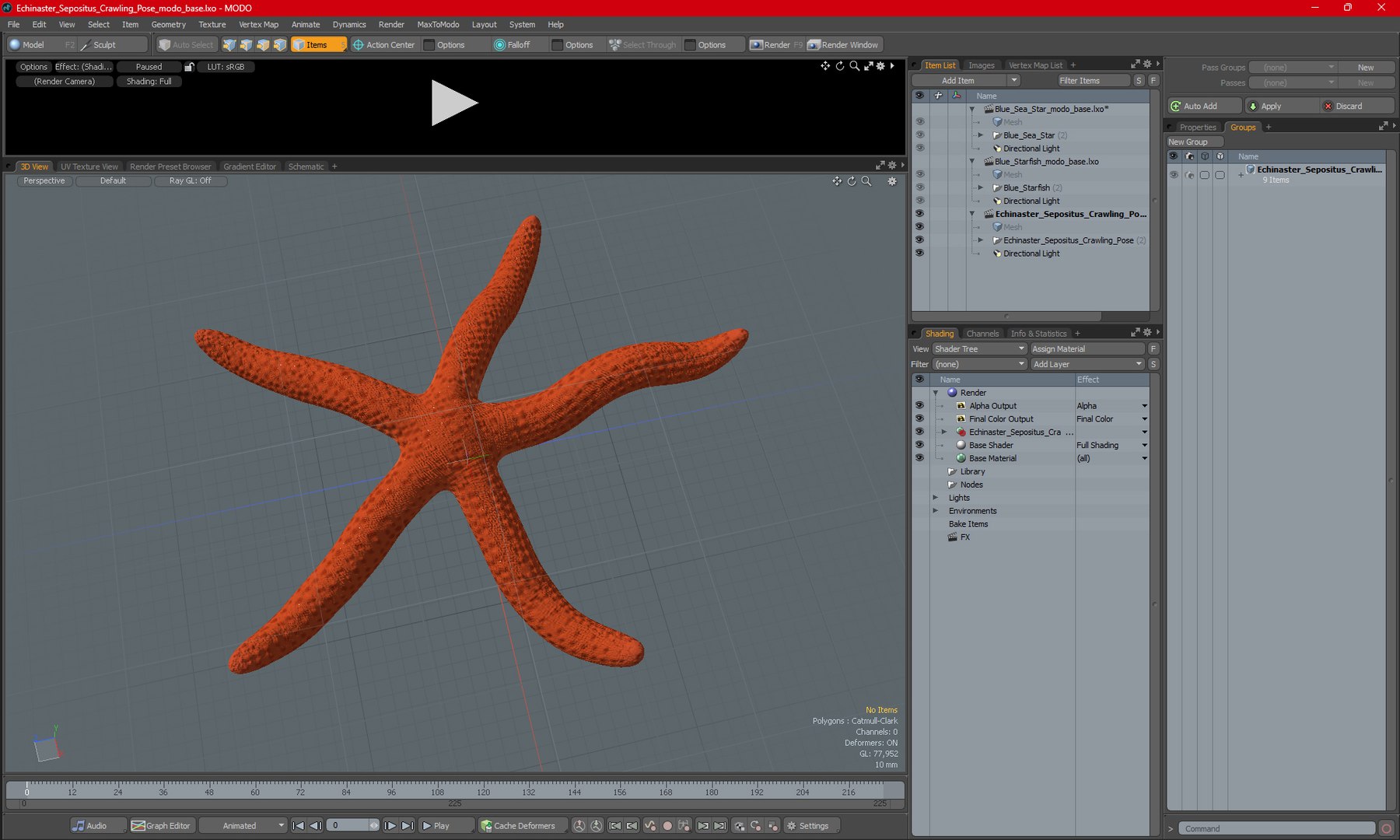 Echinaster Sepositus Crawling Pose 3D https://p.turbosquid.com/ts-thumb/o6/5tV3JL/7R/echinasterseposituscrawlingpose3dmodel016/jpg/1714601892/1920x1080/fit_q87/0b5417f5ffc2b7610691065f768cd842a4a1bff6/echinasterseposituscrawlingpose3dmodel016.jpg