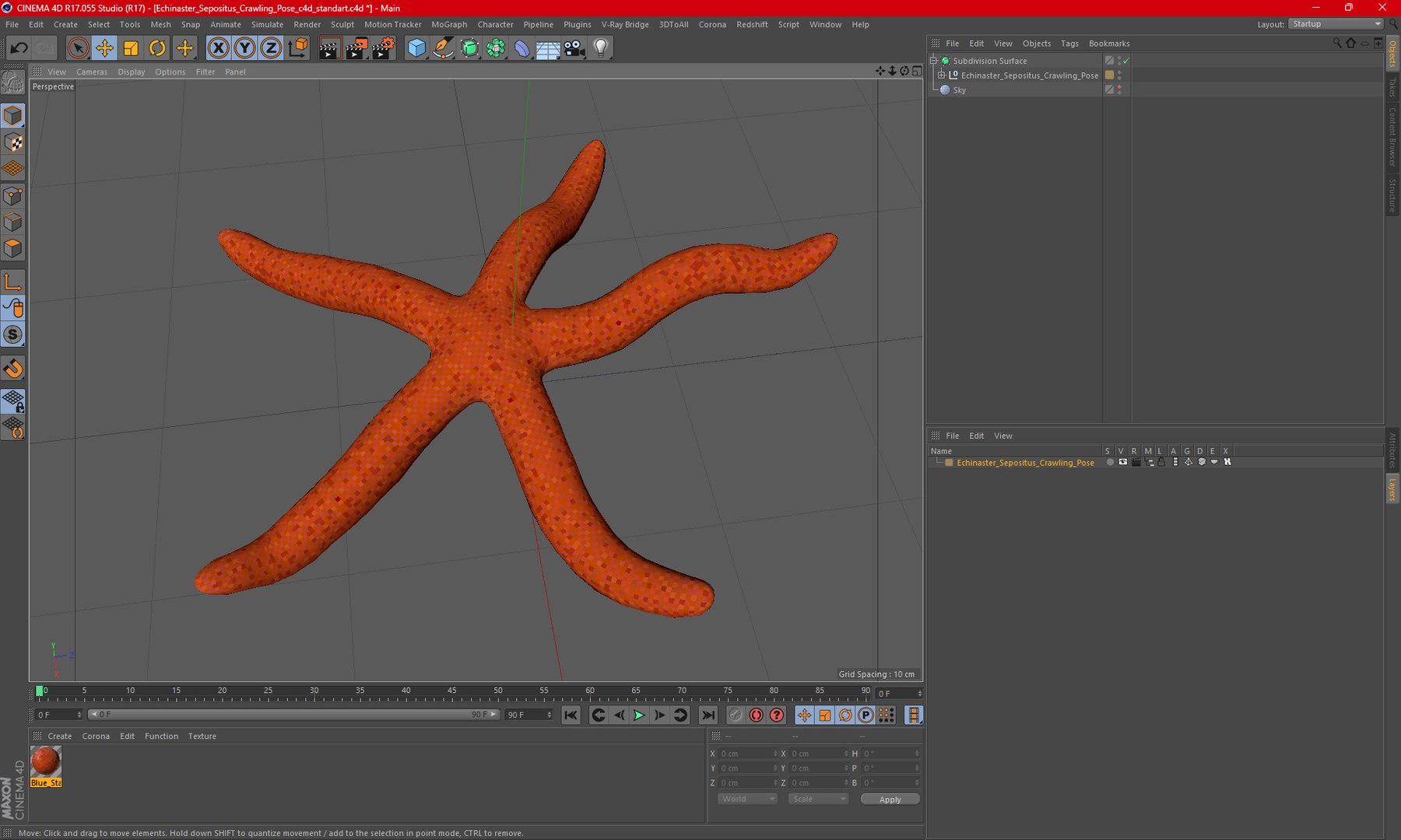 Echinaster Sepositus Crawling Pose 3D https://p.turbosquid.com/ts-thumb/o6/5tV3JL/KC/echinasterseposituscrawlingpose3dmodel013/jpg/1714601882/1920x1080/fit_q87/6f30c2c7e9bce9a2e969fdfdff4770a0516b90c4/echinasterseposituscrawlingpose3dmodel013.jpg