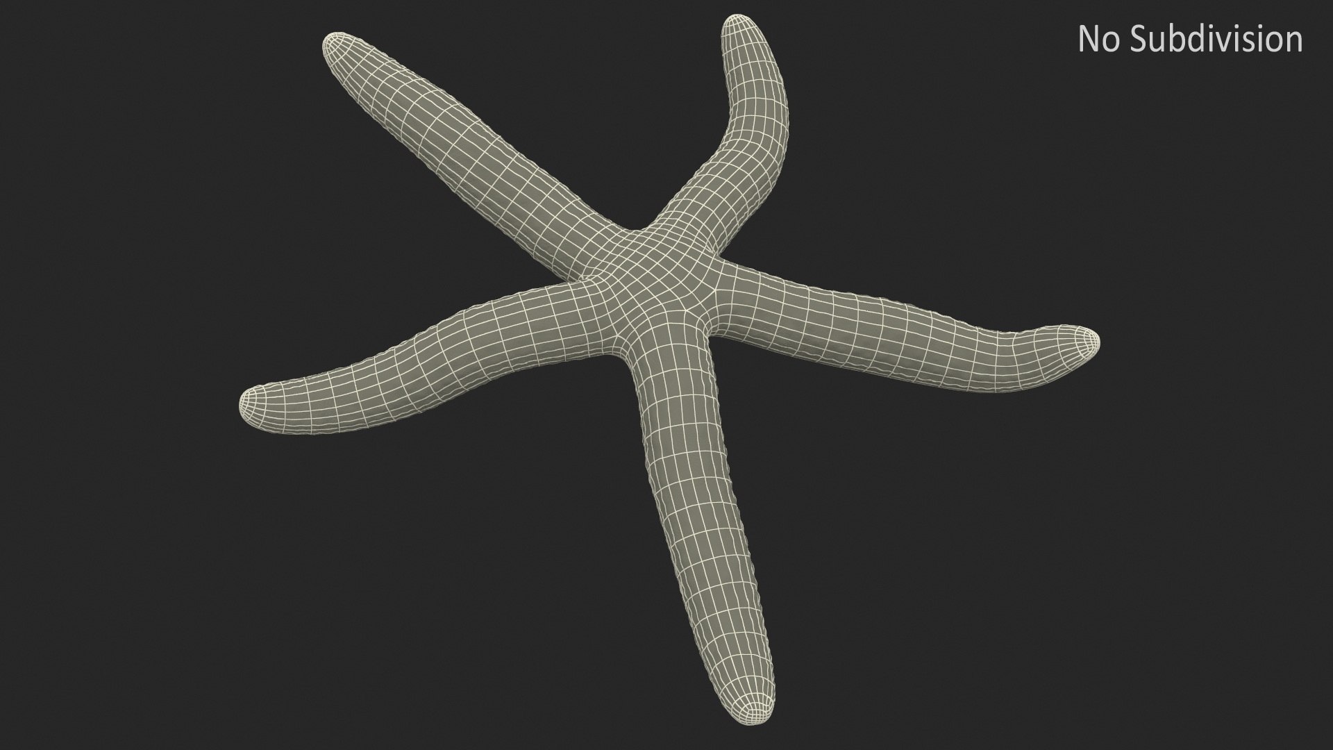 Echinaster Sepositus Crawling Pose 3D https://p.turbosquid.com/ts-thumb/o6/5tV3JL/KY/echinasterseposituscrawlingpose3dmodel009/jpg/1714601869/1920x1080/fit_q87/29d965bac4dcb22ecbe31ca0c5ca7ae51e5c0943/echinasterseposituscrawlingpose3dmodel009.jpg