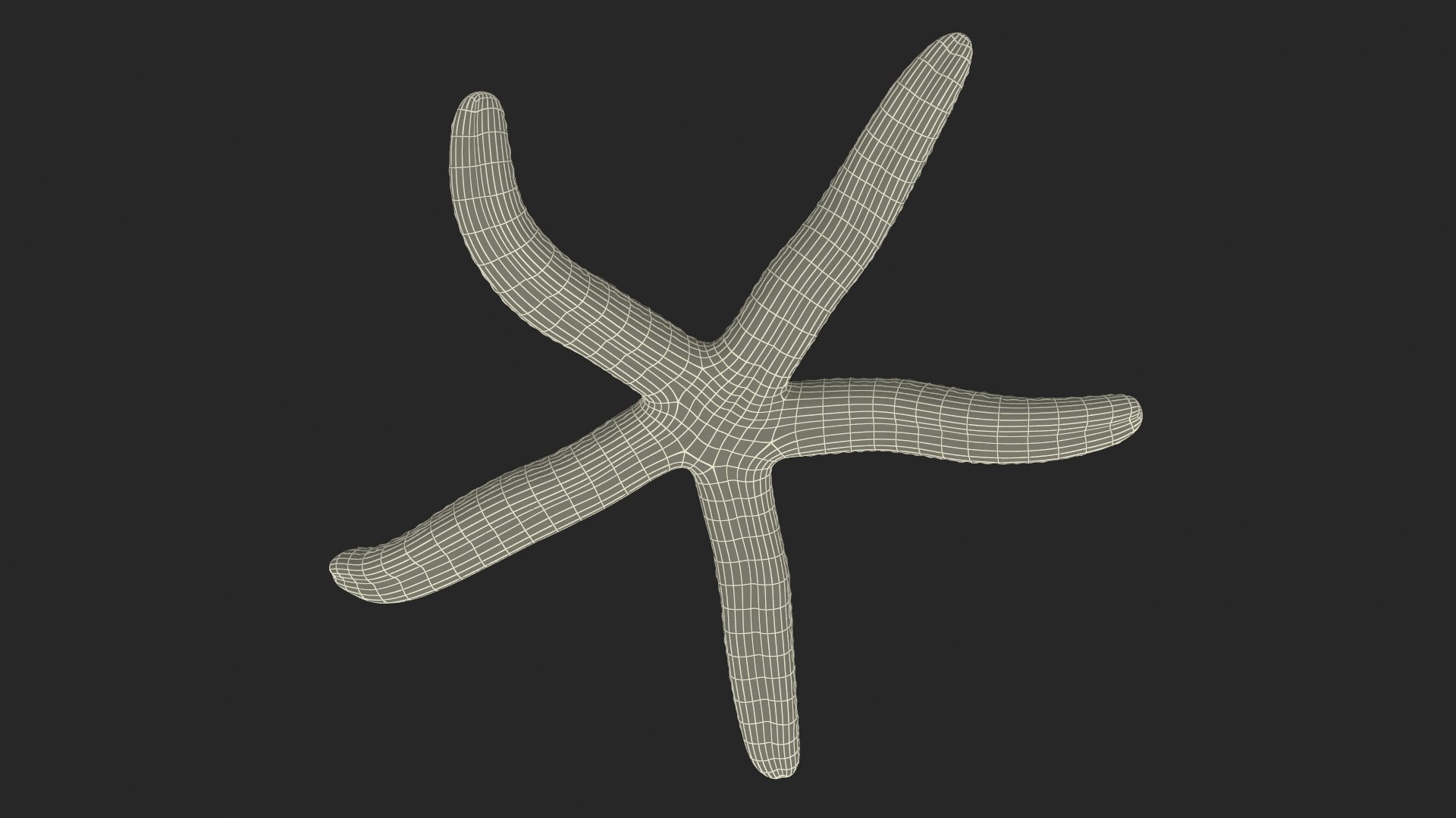 Echinaster Sepositus Crawling Pose 3D https://p.turbosquid.com/ts-thumb/o6/5tV3JL/pV/echinasterseposituscrawlingpose3dmodel018/jpg/1714601897/1920x1080/fit_q87/19fde0f78d643254c0368f40a8e942c6a705fe08/echinasterseposituscrawlingpose3dmodel018.jpg