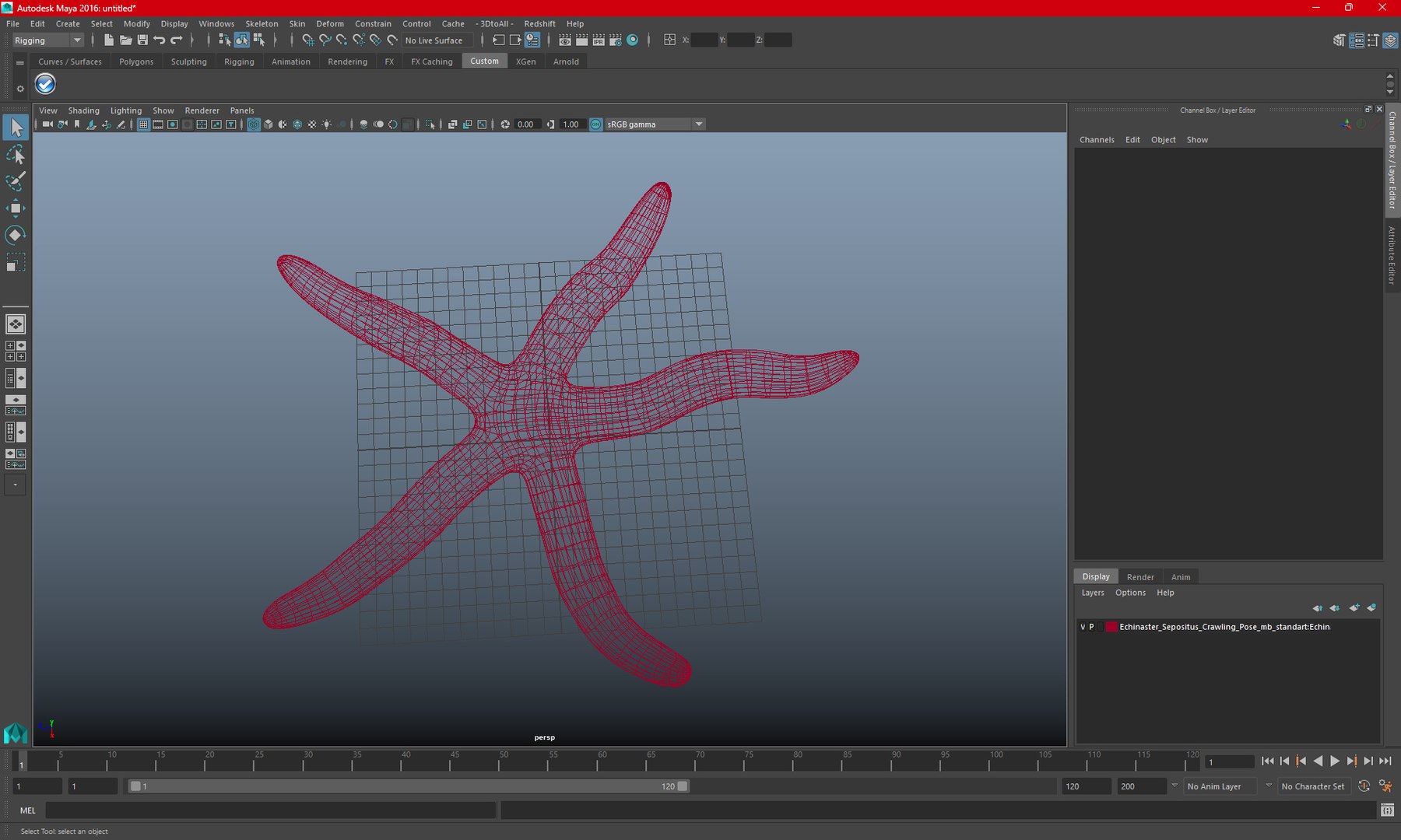 Echinaster Sepositus Crawling Pose 3D https://p.turbosquid.com/ts-thumb/o6/5tV3JL/vY/echinasterseposituscrawlingpose3dmodel014/jpg/1714601886/1920x1080/fit_q87/be8b475d23aeaa1b87aadc396bb613ff43c59d1f/echinasterseposituscrawlingpose3dmodel014.jpg