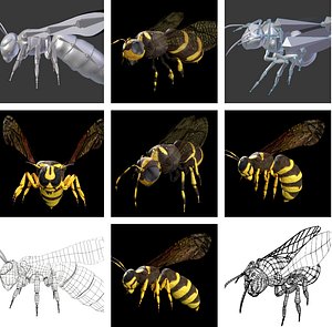 Wasp and Bee Collection Rigged Low Poly