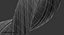 Fibra de Tecido Close Up