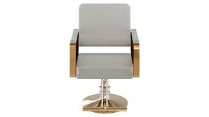 Stainless Steel Swivel Styling Chair with Arm Feature model