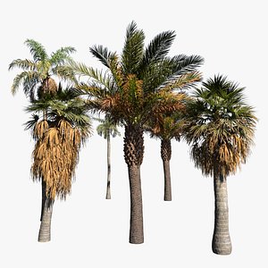 3D trees model