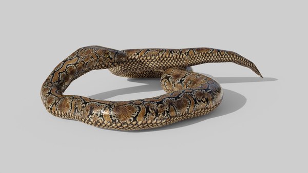 3D Python Snake - Low Poly - Game Ready - PBR - TurboSquid 1832687