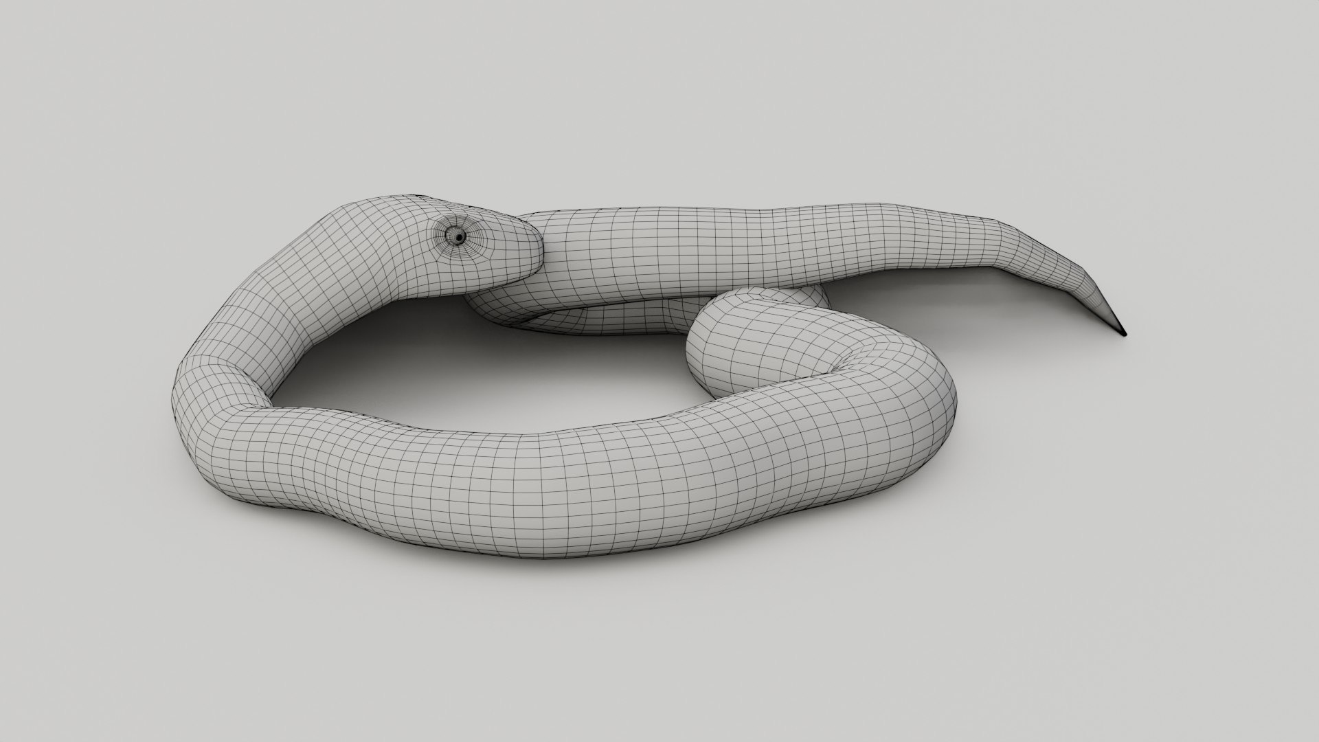 3D Python Snake - Low Poly -  Game Ready - PBR https://p.turbosquid.com/ts-thumb/o6/Ej38WG/vb/wire_0010/jpg/1640620747/1920x1080/fit_q87/8bcf7819581313f02cb86b9fb0d9aae1da1317c6/wire_0010.jpg