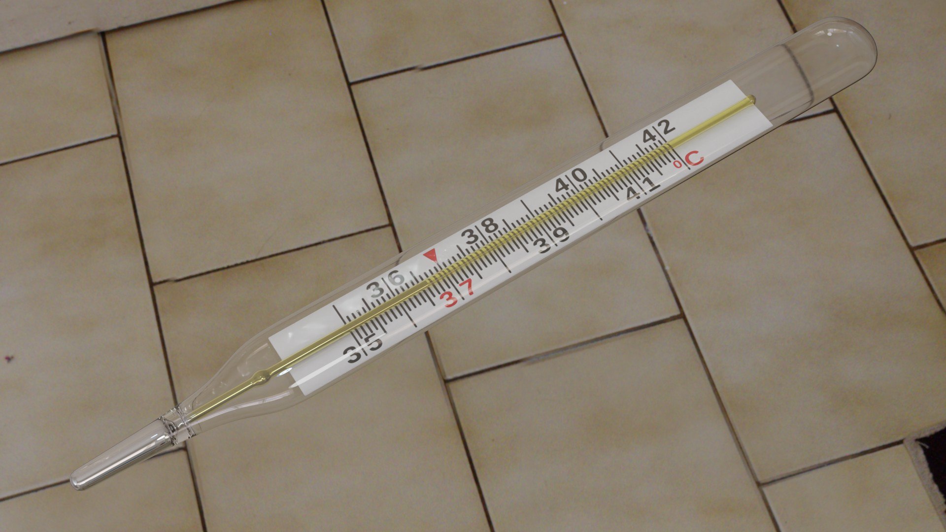 Medical Thermometer 3D https://p.turbosquid.com/ts-thumb/o6/IXkvOV/1u/b_2/jpg/1710592562/1920x1080/fit_q87/4a316a9cd54b0de9b56988b63433220912bd21d4/b_2.jpg
