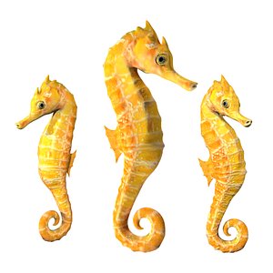 Fully rigged low poly seahorse