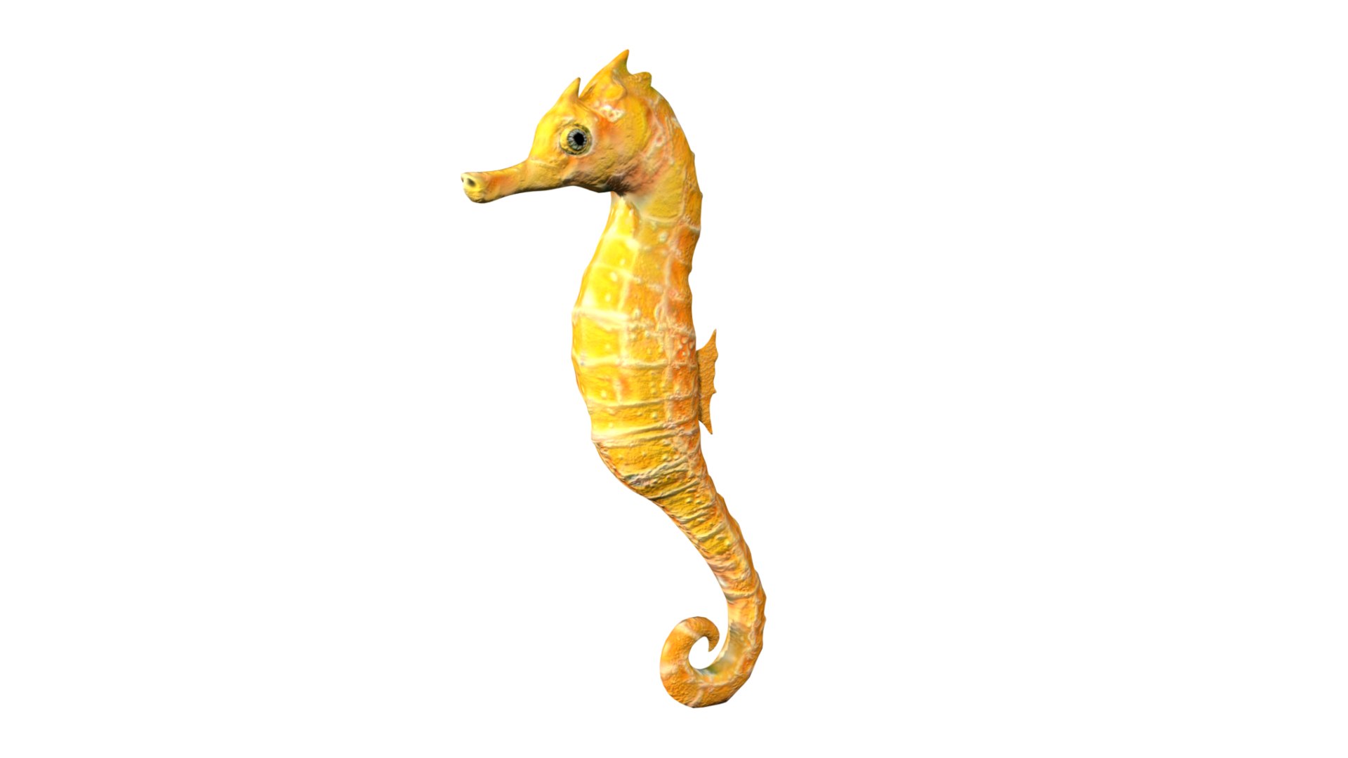 Fully Rigged Low Poly Seahorse 3D Model - TurboSquid 1757847