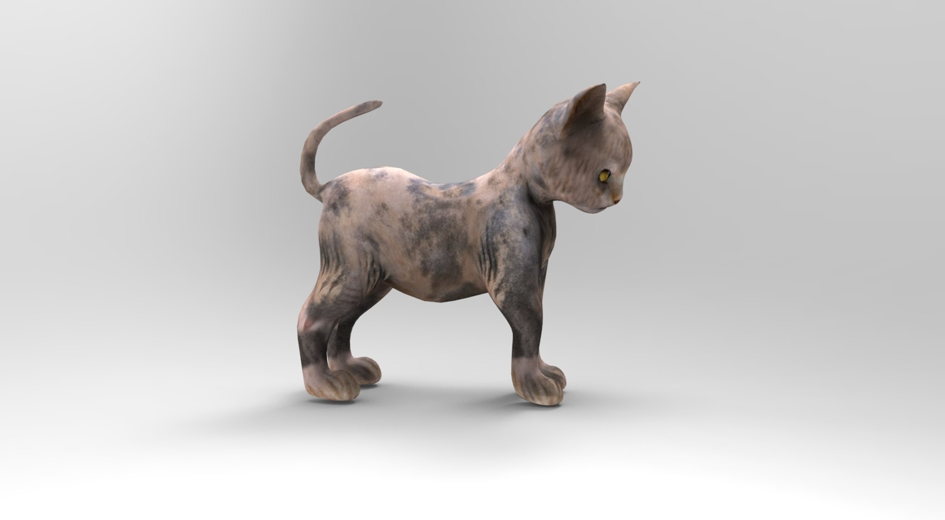 3D cute cat rigged https://p.turbosquid.com/ts-thumb/o6/VPuhYK/3hANjAQL/catpose.783/jpg/1495650110/1920x1080/fit_q87/60d1a6cf0fae18478a9c39c6901f2658b77983f7/catpose.783.jpg