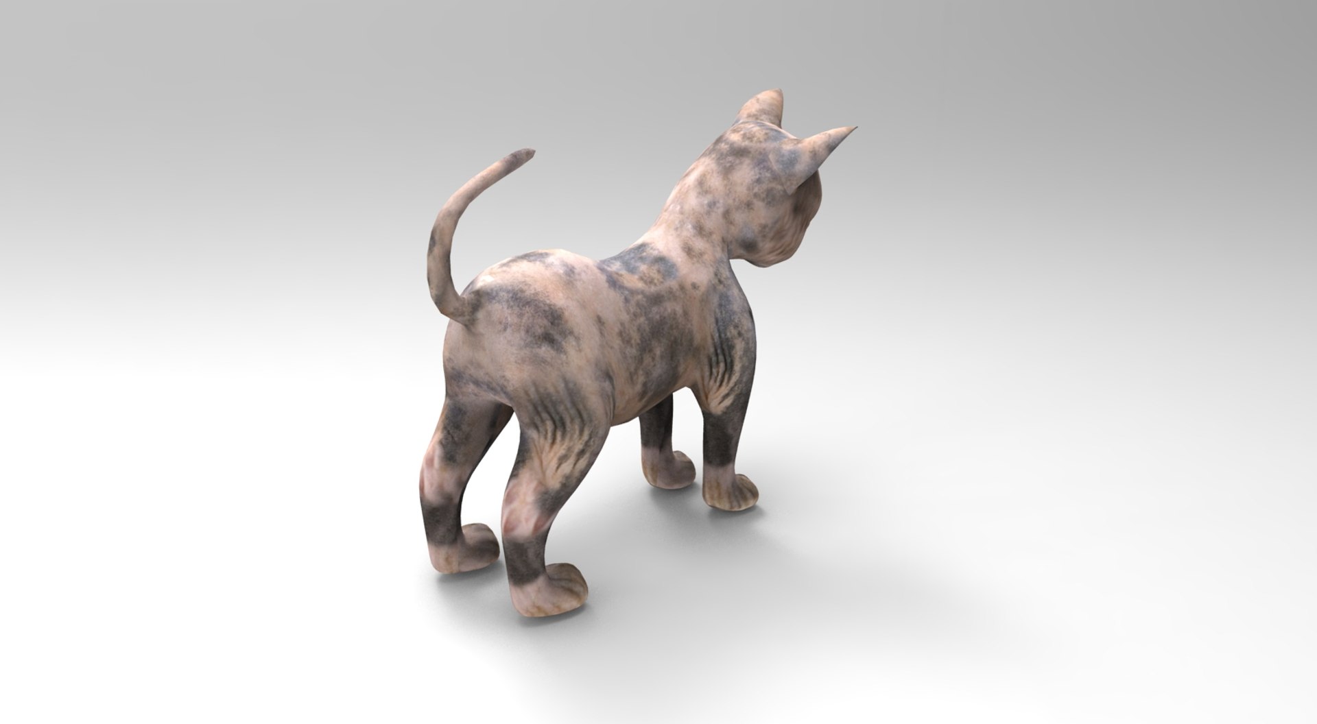 3D cute cat rigged https://p.turbosquid.com/ts-thumb/o6/VPuhYK/6Qv4qRES/catpose.784/jpg/1495650110/1920x1080/fit_q87/65f2026fa5276f3daa1f08c61a298f6725094a4e/catpose.784.jpg