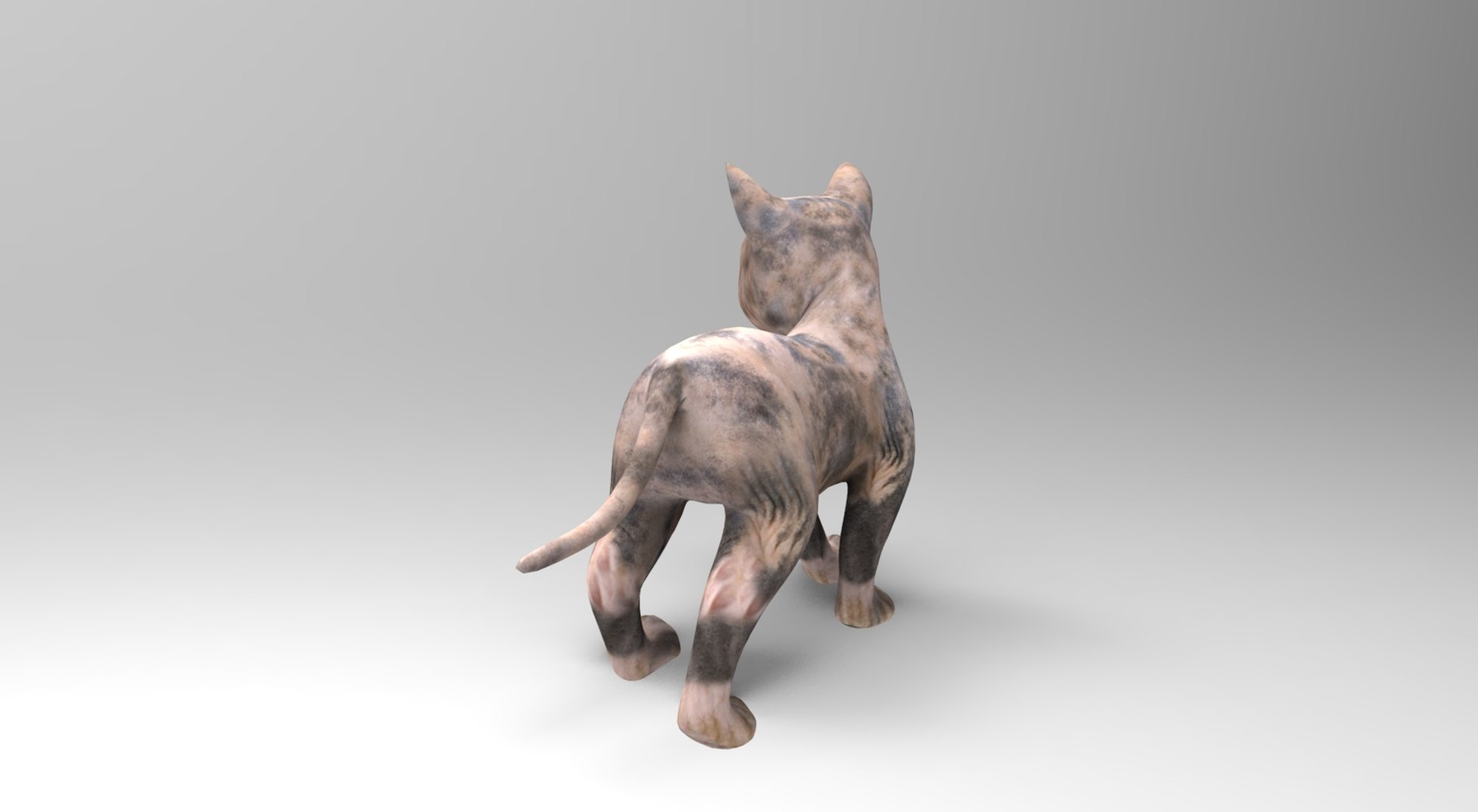 3D cute cat rigged https://p.turbosquid.com/ts-thumb/o6/VPuhYK/A54J05T4/catpose.791/jpg/1495650111/1920x1080/fit_q87/1cbb9c41d6001592cc16e11099eda30bab8426da/catpose.791.jpg