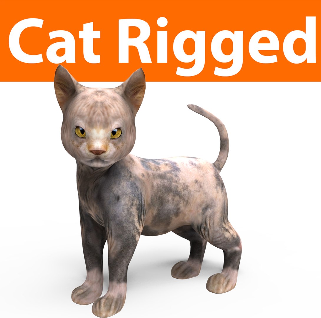 3D cute cat rigged https://p.turbosquid.com/ts-thumb/o6/VPuhYK/AlXzrWot/catpose/jpg/1495650023/1920x1080/fit_q87/5d89289138c5d34e3ff6879db7c15f6cdee8339e/catpose.jpg