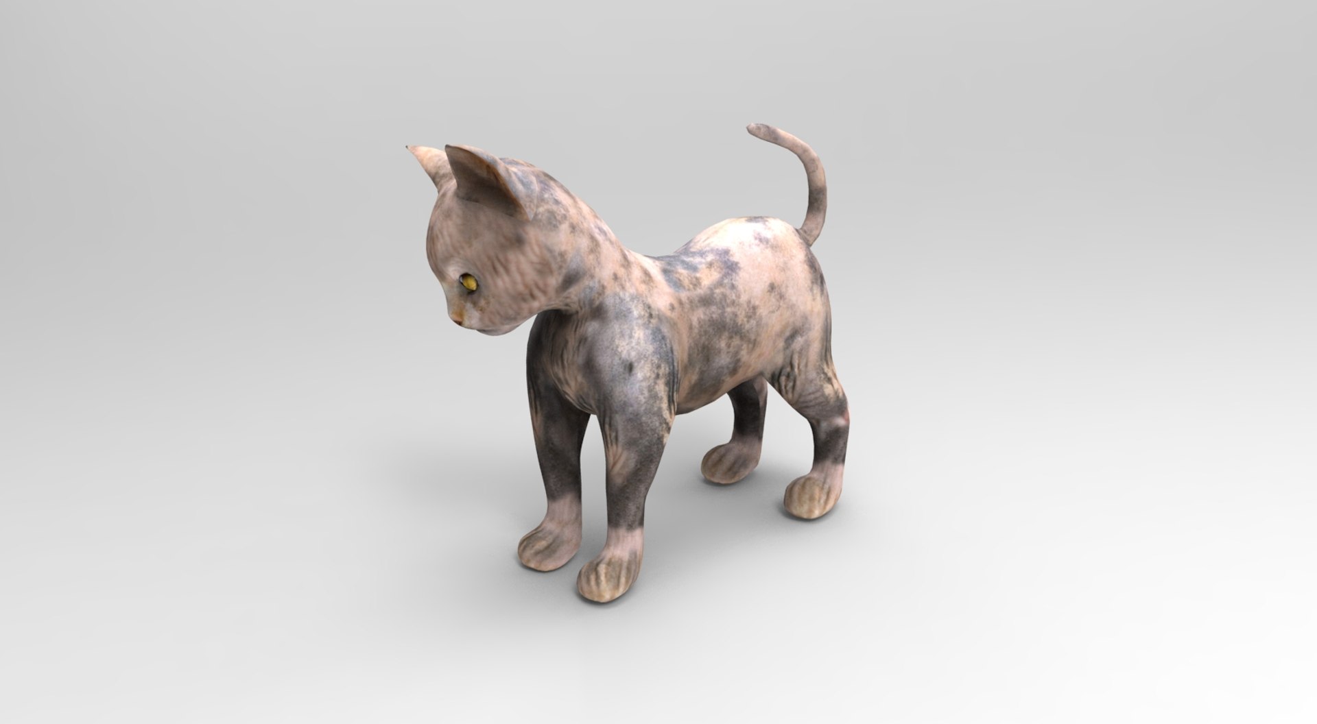 3D cute cat rigged https://p.turbosquid.com/ts-thumb/o6/VPuhYK/DiTxQOd0/catpose.786/jpg/1495650111/1920x1080/fit_q87/f97bd9b7a93830b8fbe9fb10814f754b3e6556d5/catpose.786.jpg