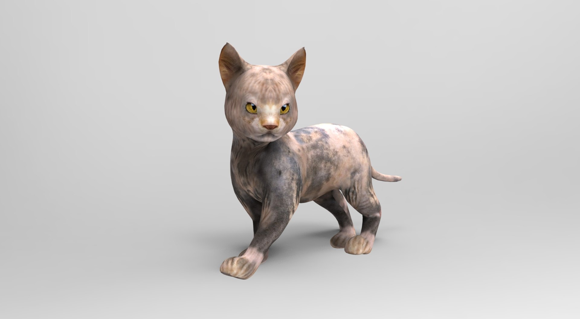 3D cute cat rigged https://p.turbosquid.com/ts-thumb/o6/VPuhYK/IdpvJP60/catpose.788/jpg/1495650111/1920x1080/fit_q87/c080cbe637b452c579be02e16a00eb283644fdc1/catpose.788.jpg