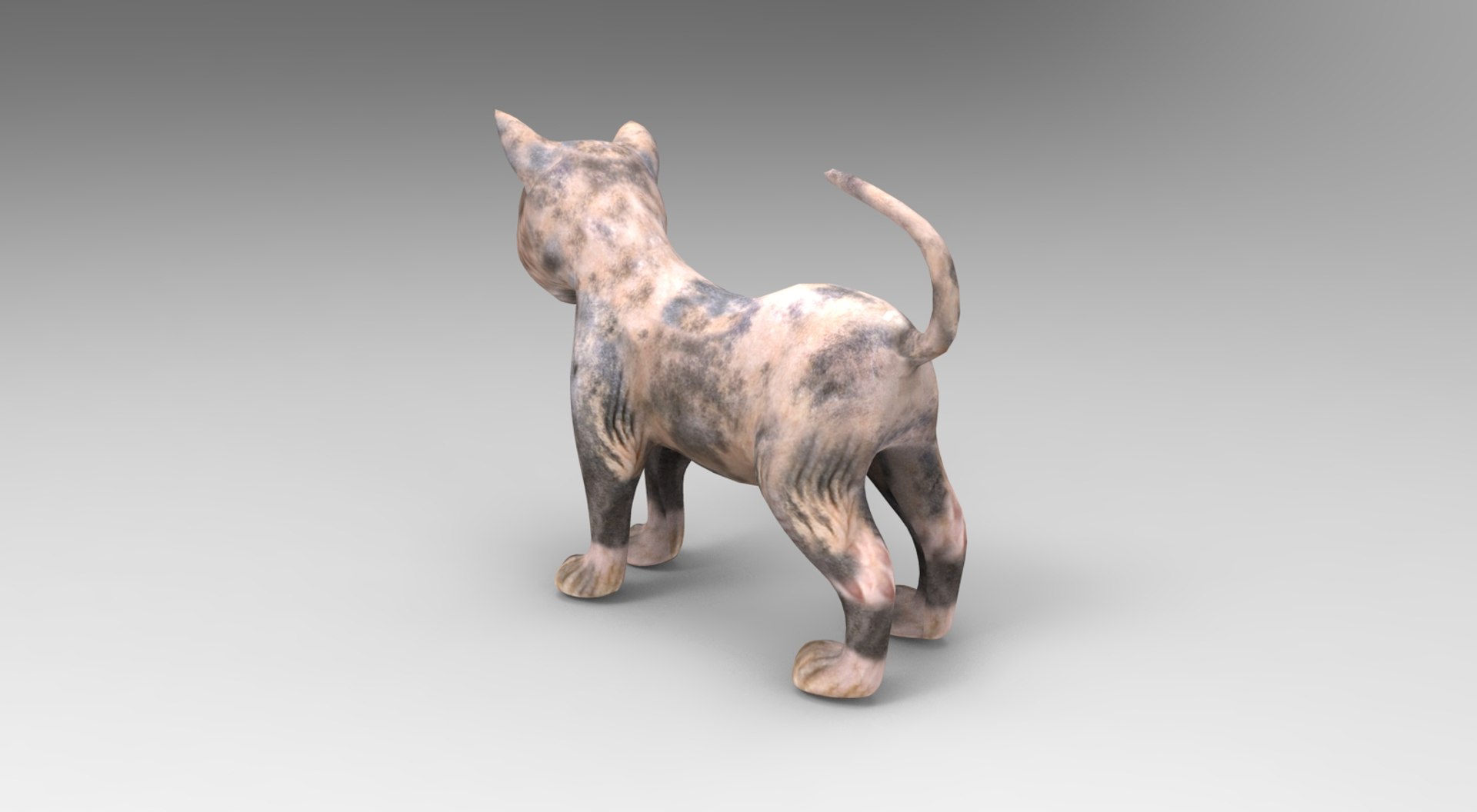 3D cute cat rigged https://p.turbosquid.com/ts-thumb/o6/VPuhYK/RAmO5rGN/catpose.785/jpg/1495650110/1920x1080/fit_q87/ecae0c4cca9b216721fae6f638ff01cec3aaee0d/catpose.785.jpg