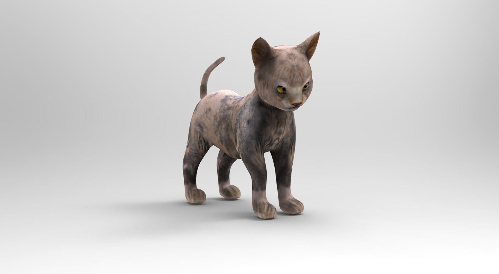3D cute cat rigged https://p.turbosquid.com/ts-thumb/o6/VPuhYK/XFKgMXzS/catpose.782/jpg/1495650110/1920x1080/fit_q87/b955c702b716020f3690eba570f14cf052cf8de5/catpose.782.jpg
