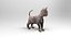3D cute cat rigged