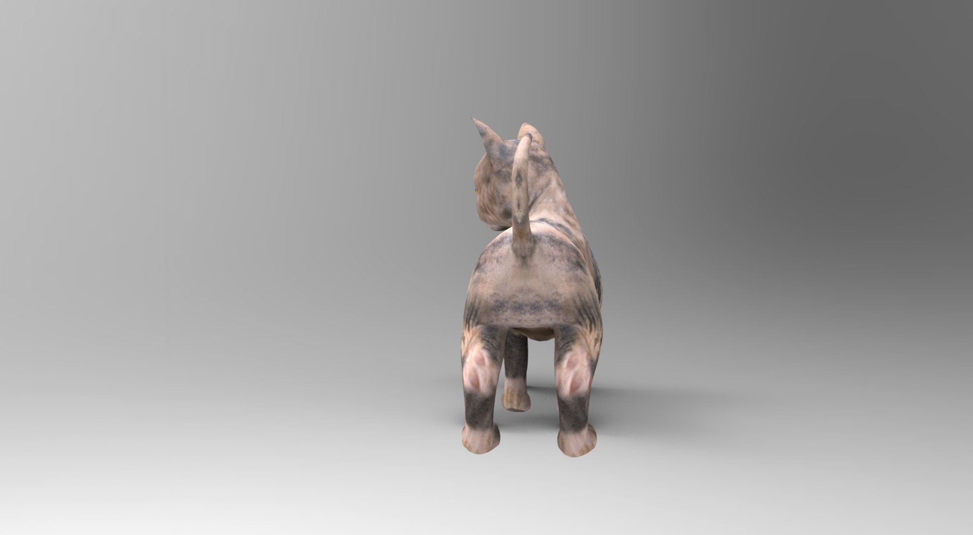 3D cute cat rigged https://p.turbosquid.com/ts-thumb/o6/VPuhYK/cZf9UteV/catpose.777/jpg/1495650110/1920x1080/fit_q87/5eb31735426e7e67b18b3736a222f0d721b1a1ca/catpose.777.jpg