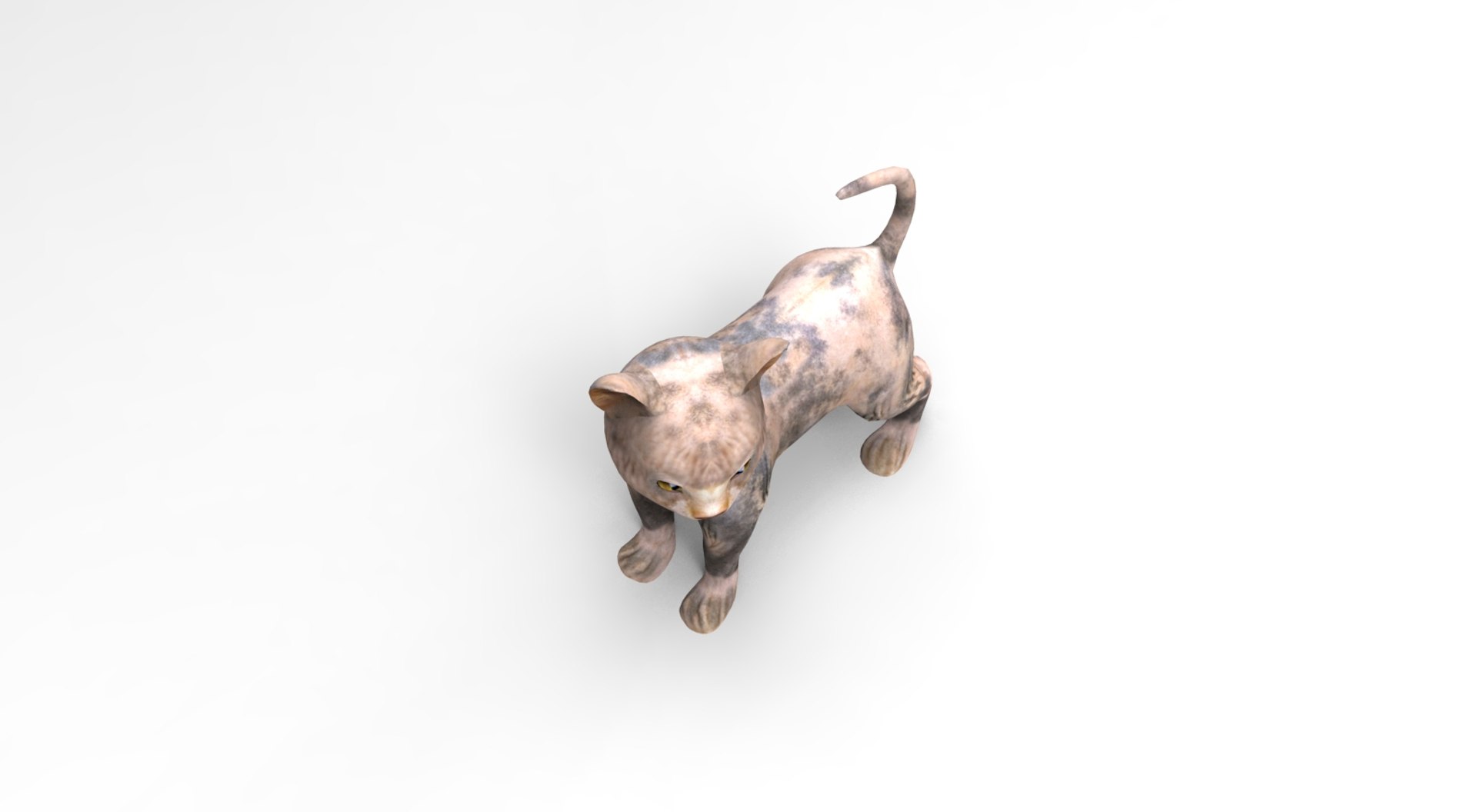 3D cute cat rigged https://p.turbosquid.com/ts-thumb/o6/VPuhYK/gfJZVt45/catpose.780/jpg/1495650110/1920x1080/fit_q87/c286ac061c526f4b451621ce2ff6c755164a68e0/catpose.780.jpg