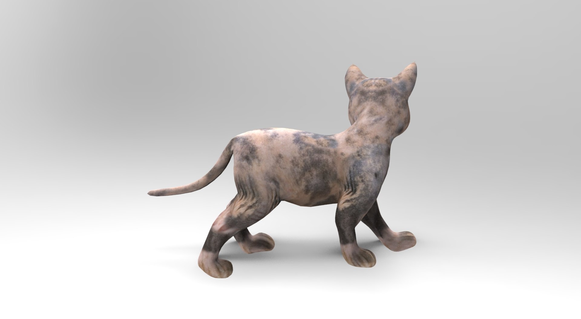 3D cute cat rigged https://p.turbosquid.com/ts-thumb/o6/VPuhYK/qqCOEGG0/catpose.792/jpg/1495650111/1920x1080/fit_q87/ce8ab809e29d2263b02b5b08f4ba0992fc2a8841/catpose.792.jpg